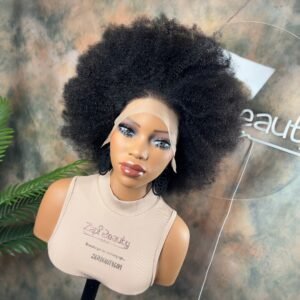 10” 4b 4c Afro Kinky Coily 13x4 Lace Frontal Wig